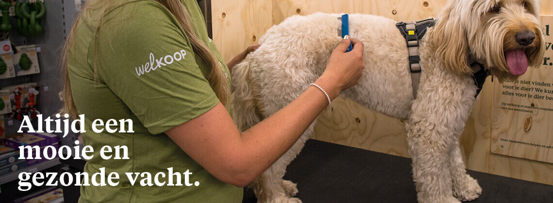 Huid- en vachtconsult voor je hond - € 9.95